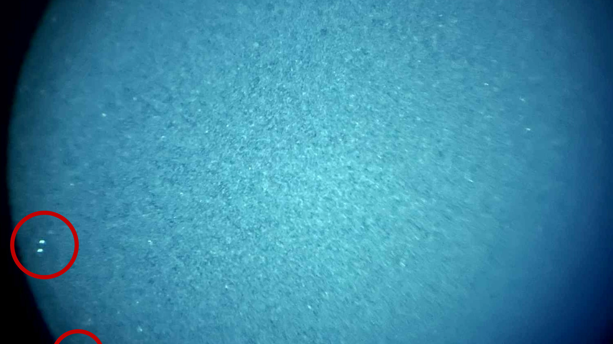 Understanding Image Intensifier Tube (IIT) Damage: What It Means for Night Vision Performance