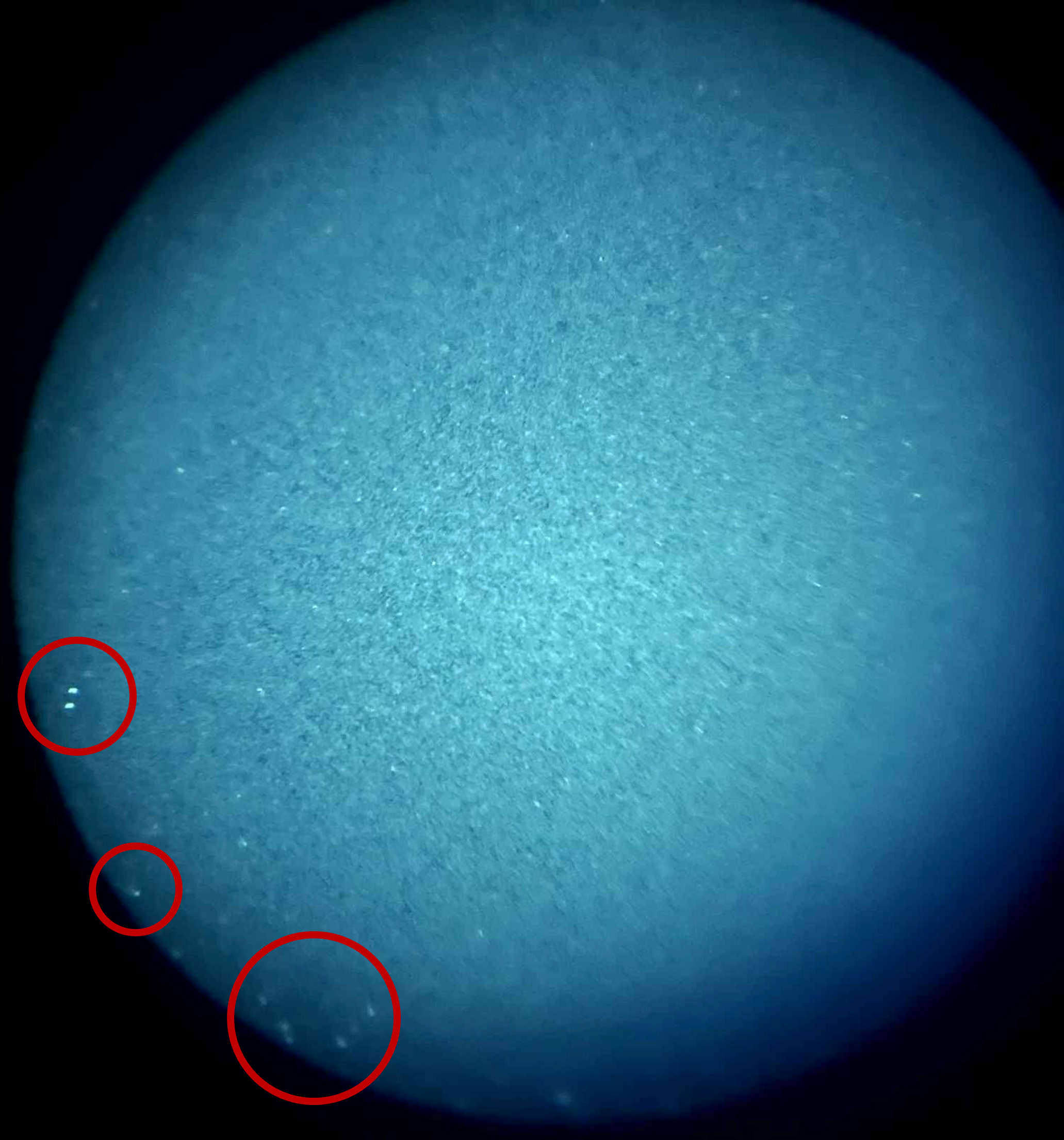 Understanding Image Intensifier Tube (IIT) Damage: What It Means for Night Vision Performance